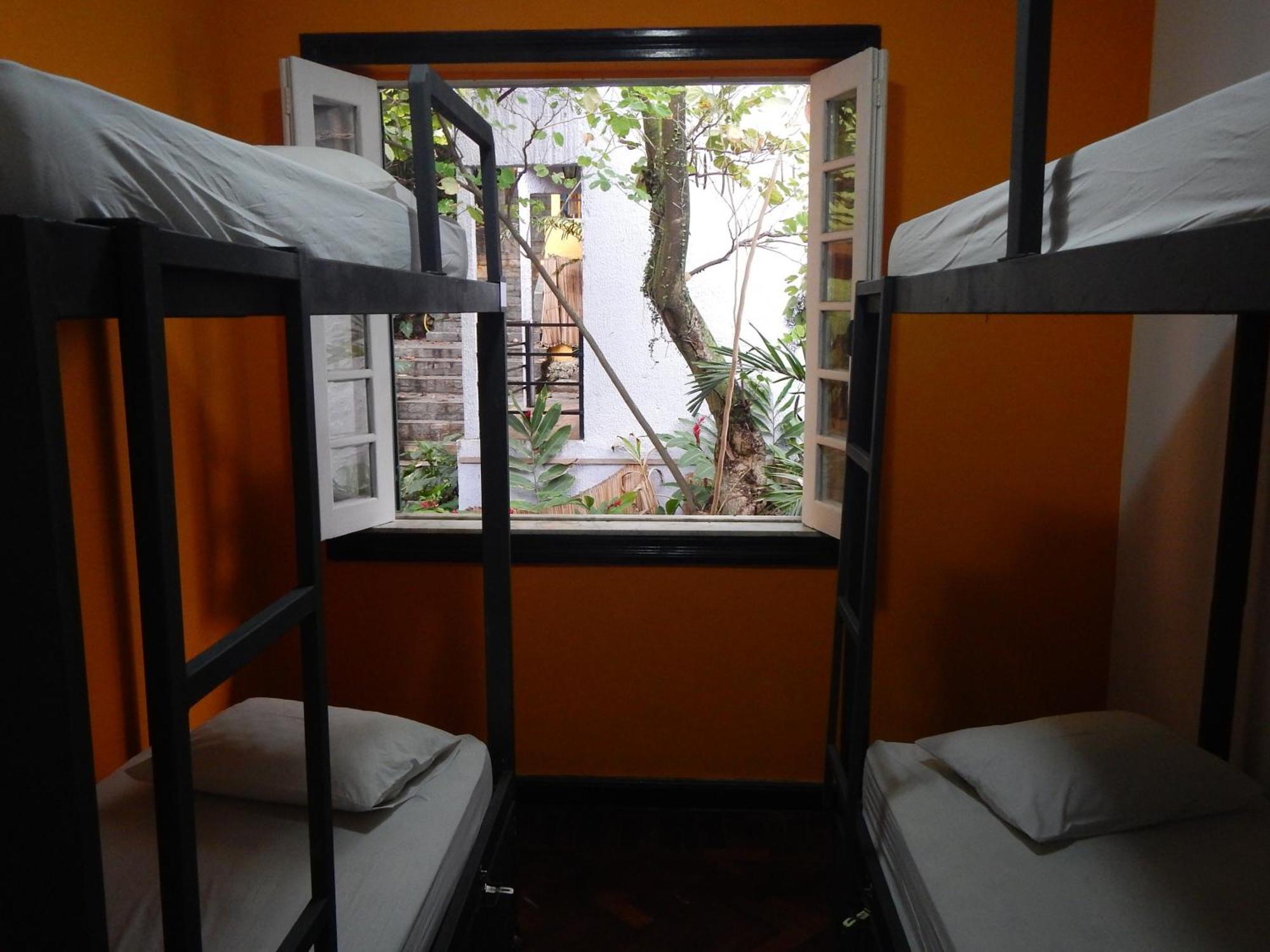 Bunk Bed 4-Bed Mixed Dormitory Room